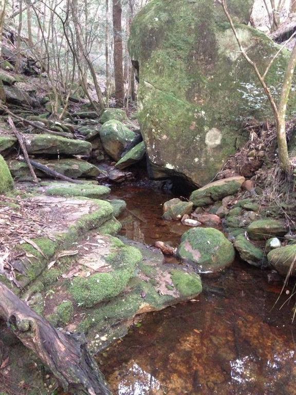 库拉步道别墅 Wheeny Creek 外观 照片